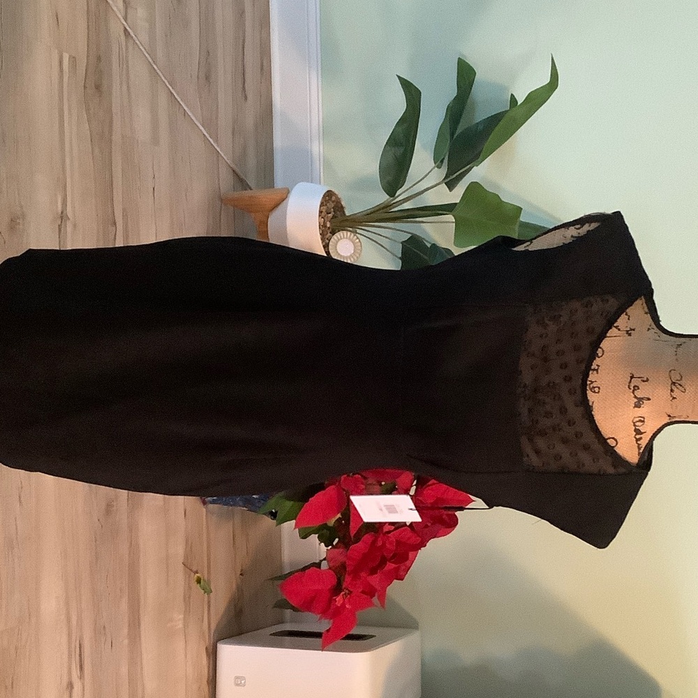 Calvin Klein Collection Black Midi Dress